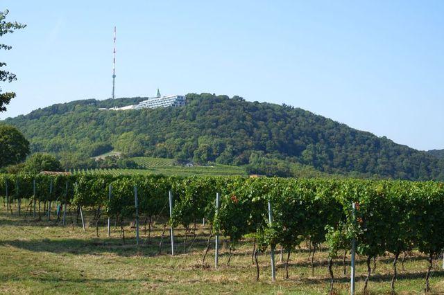 LTV Wandertag 20160911 145526